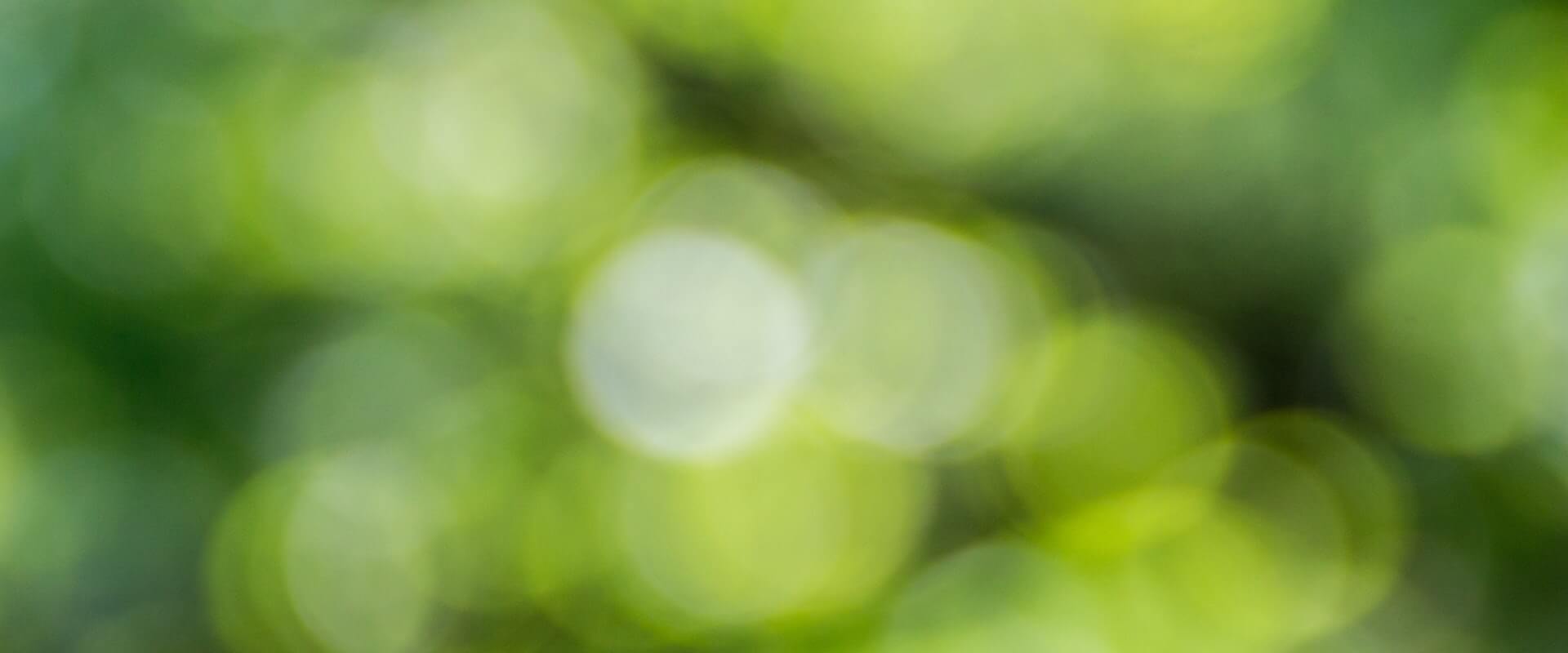 Trouvez la Bonne Nourriture pour votre chiot