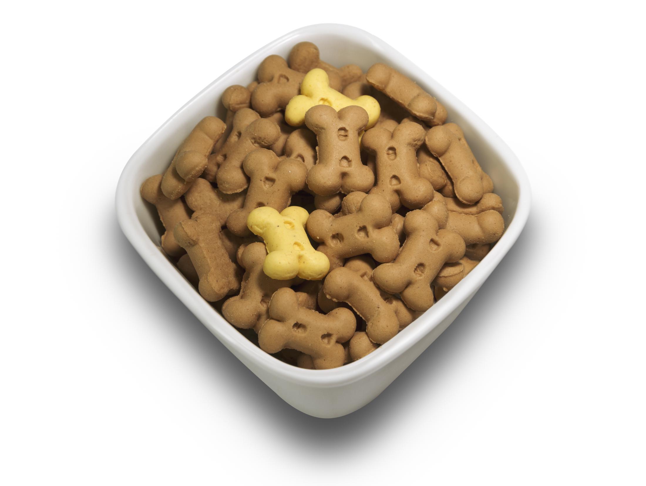 Biscuits d'entraînement