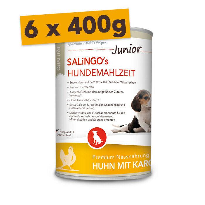 Ensemble de découverte pour les chiots et les jeunes chiens de petites races