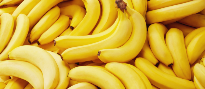 duerfen-katzen-bananen-essen