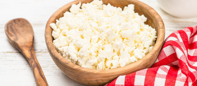 duerfen-hunde-kaese-essen