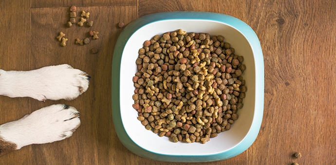 Hundefutter-richtig-aufbewahren Hundefutter-richtig-aufbewahren