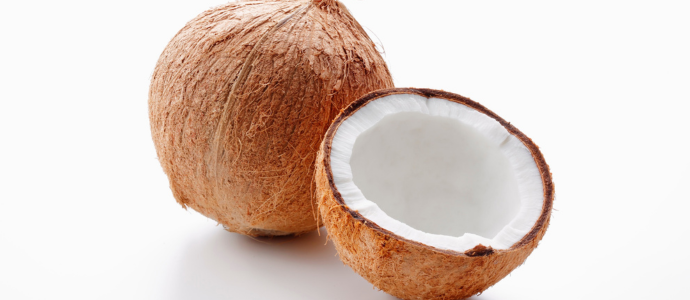 duerfen-hunde-kokosnuss-essen