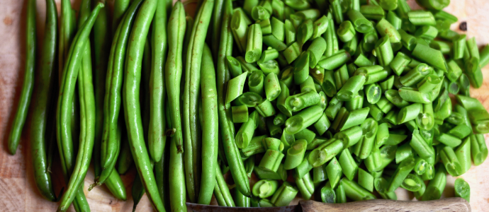 duerfen-hunde-bohnen-essen